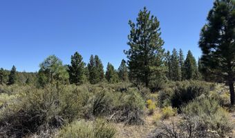Bufflehead Drive 18, Bonanza, OR 97623