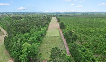 17668 Flatwoods Rd, Altha, FL 32421