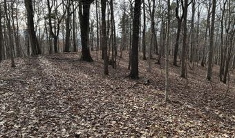 Highway 105, Baldwin, GA 30511