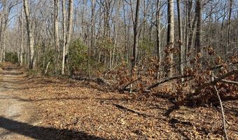 Brookstone Road lot 3, Bastian, VA 24314