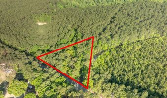 Ethridge Drive, Andrews, SC 29510