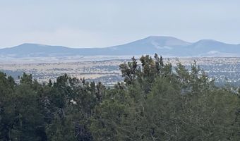 61 County Road 8027, Concho, AZ 85924