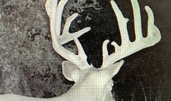 0000 Francis Rd, Francis, OK 74820