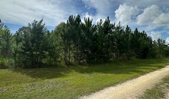Lot 8 NW Cody Ln, Altha, FL 32421