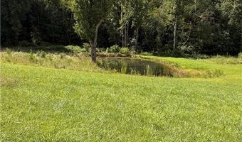 143 Little Macy Ln, Ararat, NC 27007