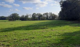 232 344 County Road 344, Bell, FL 32619