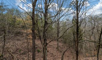Smithtown Road, Afton, TN 37616