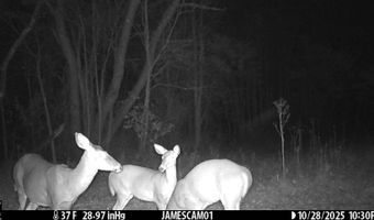 0 W Captina Highway Rd, Alledonia, OH 43902