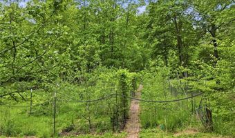 1801 Soap Creek Rd, Ball Ground, GA 30107
