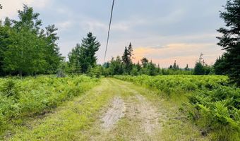 6378 Macey Ln, Alpena, MI 49707
