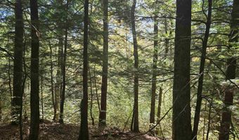 00 Thorn Hill Rd 54-L0E, Bartlett, NH 03812