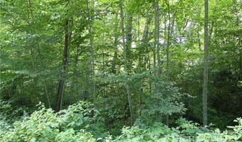 Farm Loop Road lot 17, Banner Elk, NC 28604