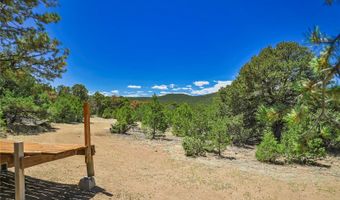 Rikki Rowdy Place, Aguilar, CO 81020