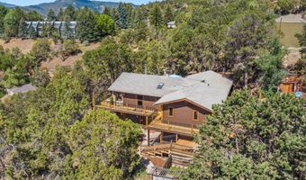 679 Pinon Dr, Basalt, CO 81621