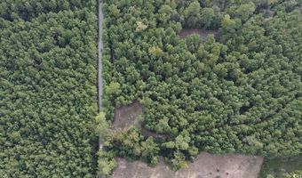 TBD Oglethorpe Dr, Andrews, SC 29510