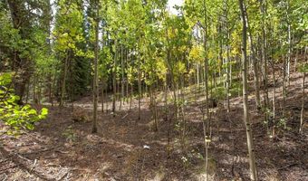 452 QUARTZVILLE Rd, Alma, CO 80420