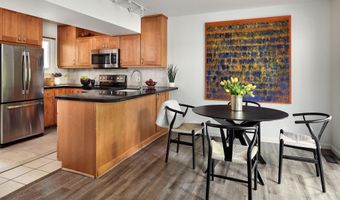 814 W Bleeker St C-1, Aspen, CO 81611