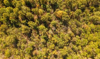 County Road 204, Alton, MO 65606