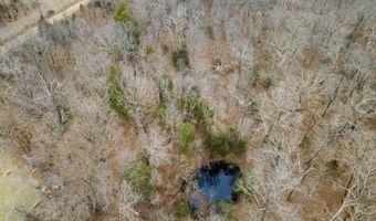 County Road 302, Alton, MO 65606