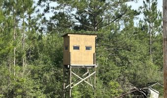 40 Ac +/- Old River Rd, Baker, FL 32531