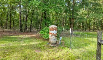 6679 NW 27th Pl, Bell, FL 32619