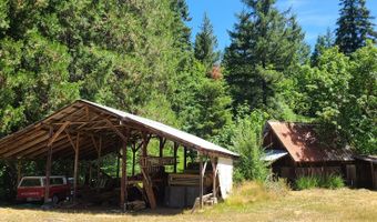 55533 MCKENZIE RIVER Dr, Blue River, OR 97413