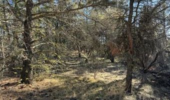 Bunting Drive, Bonanza, OR 97623