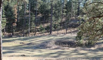 25145 Upper French Creek Rd, Custer, SD 57730
