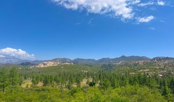 61250 Hwy 74, Mountain Center, CA 92561
