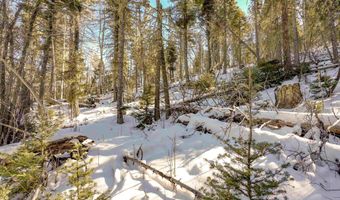 45 And 46 Sacramento Dr, Angel Fire, NM 87710
