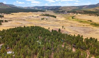 8 County Road 2267, Alpine, AZ 85920
