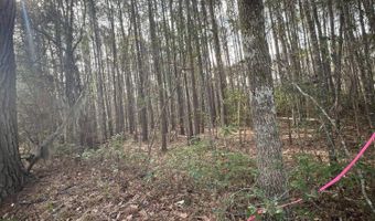 0 Ashe Brown Rd, Adams Run, SC 29426