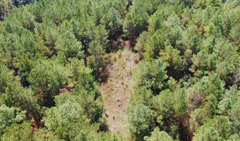 0 CR 320, Big Creek, MS 38914