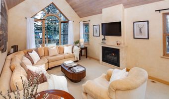 333 W Hopkins Ave, Aspen, CO 81611