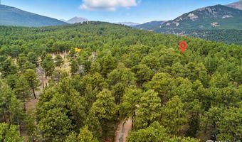 County Road 84 W, Allenspark, CO 80510