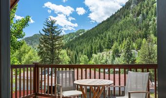 503 W Main St B202, Aspen, CO 81611