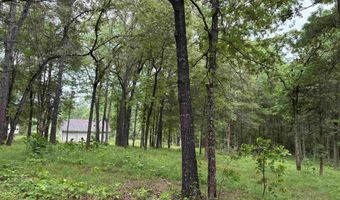 144 Wildwood Ln, Atkins, AR 72823