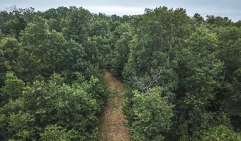 1569 Spider K Rd, Anderson, MO 64831