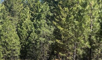 Saddle Rock Drive lot 19, Cascade, ID 83611