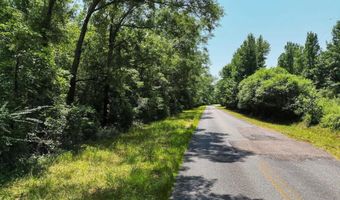 568 COUNTY ROAD 15 Lot 1, Autaugaville, AL 36003