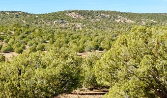Kirkland DR 20 Acres, Concho, AZ 85924