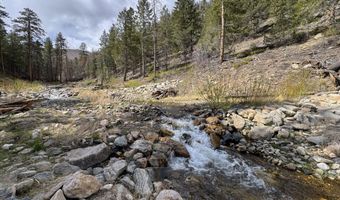122 Black Hollow Rd, Bellvue, CO 80512