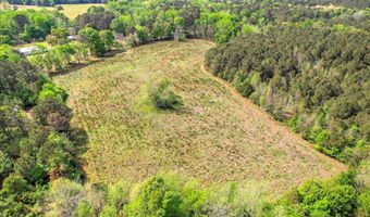 6995 Cobbham Rd, Appling, GA 30802