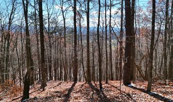 Nebo Mountain Rd. lot Multiple, Atkins, VA 24311