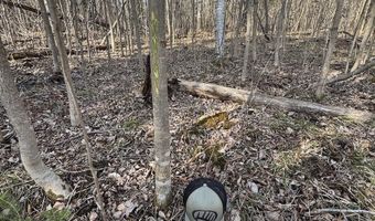 2254 E M30, Alger, MI 48610