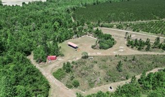 17668 Flatwoods Rd, Altha, FL 32421