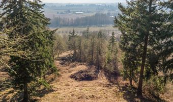 SE Rice Ln, Amity, OR 97101