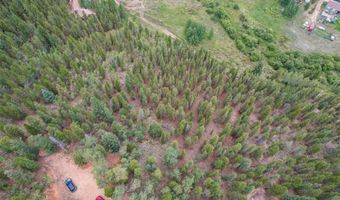 427 Wise Rd, Bailey, CO 80421