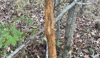 11 Acres RISER MILL ROAD Lot 11 Acres, Alpine, AL 35014