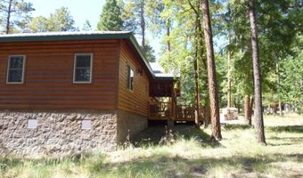 3 CR 2190, Alpine, AZ 85920